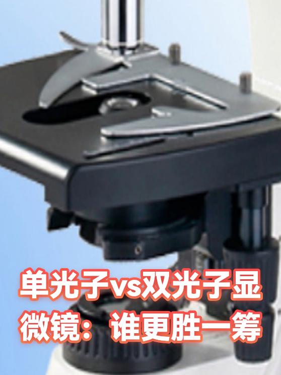 单光子vs双光子显微镜：谁更胜一筹（图1）