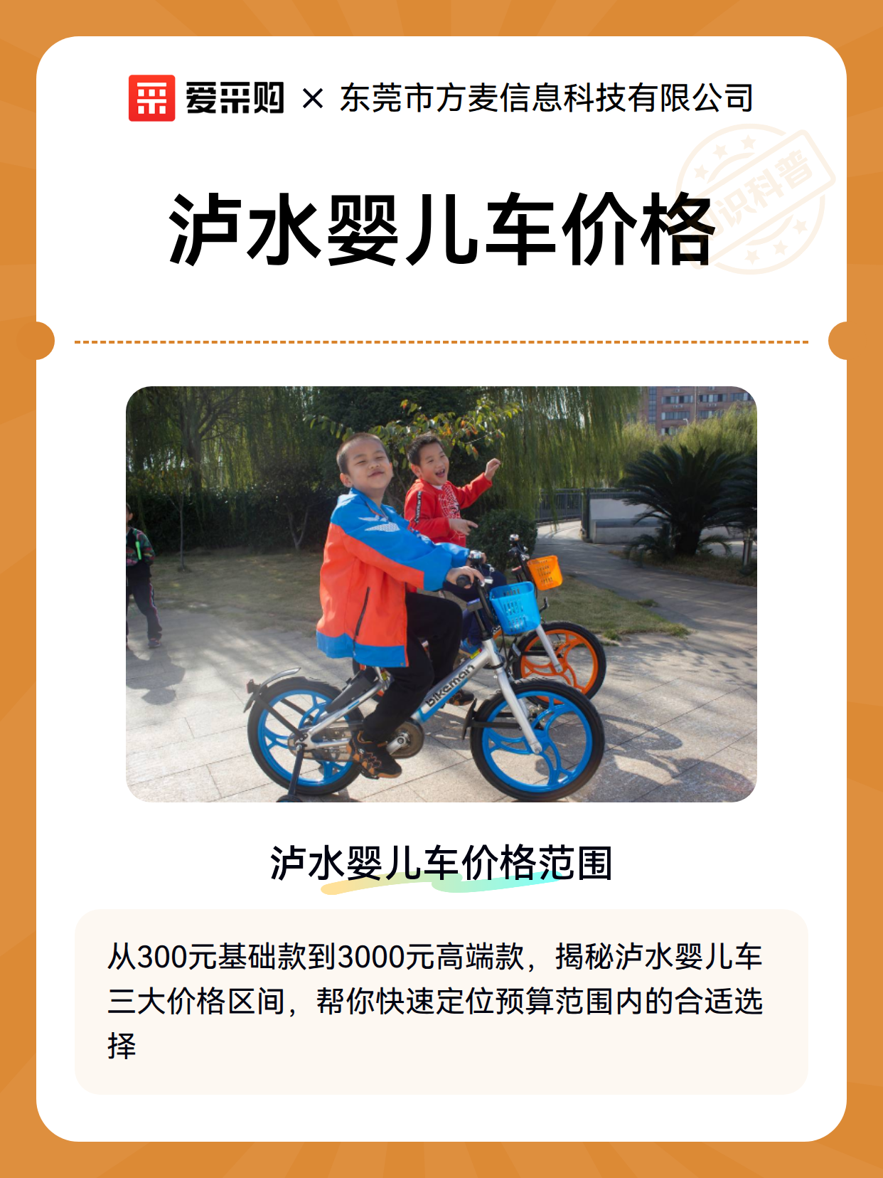 泸水婴儿车价格（图2）