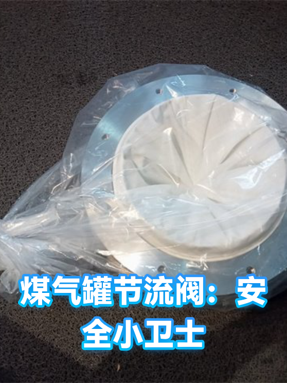 煤气罐节流阀：安全小卫士（图1）