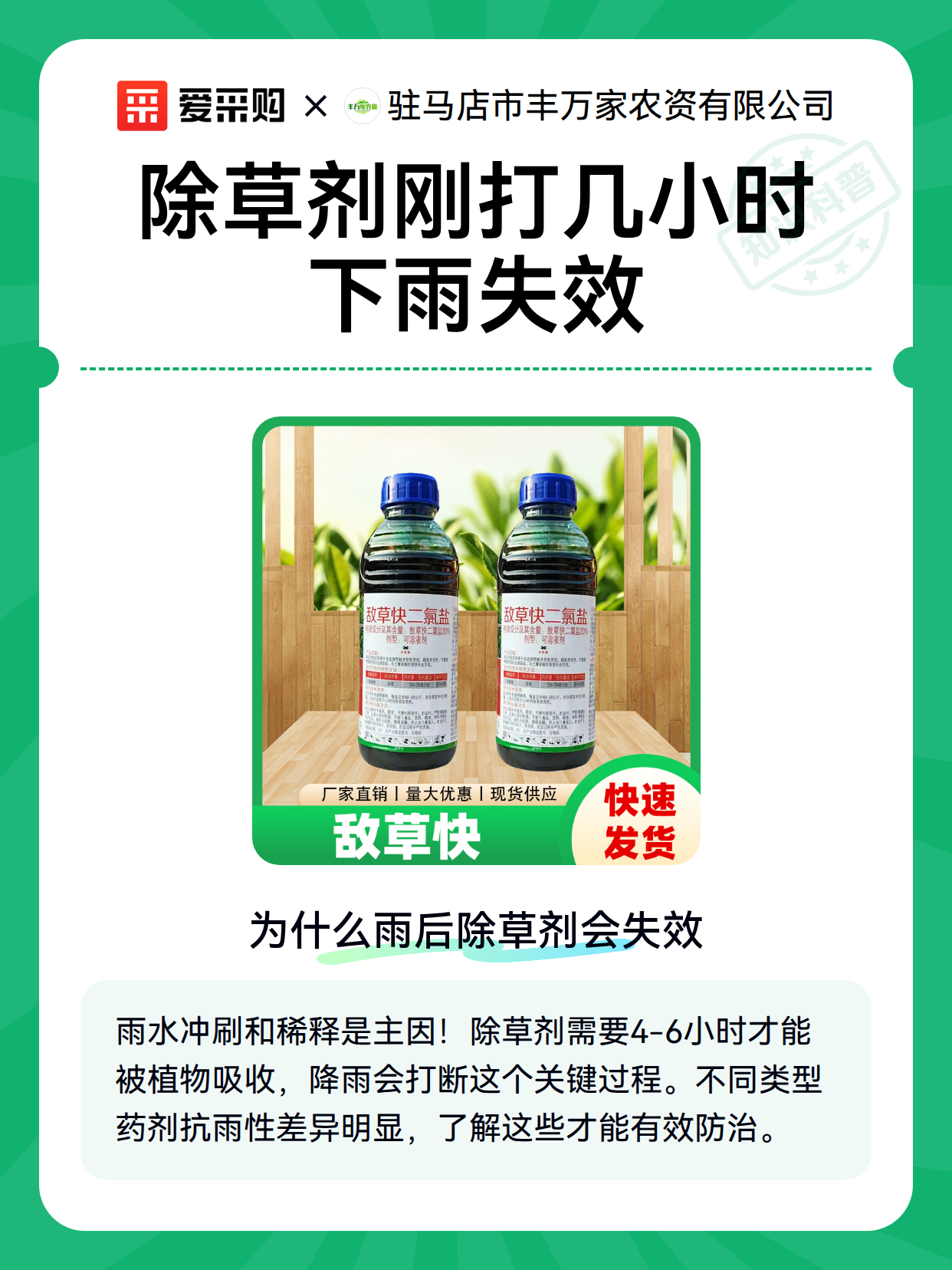 除草剂刚打几小时下雨失效（图2）