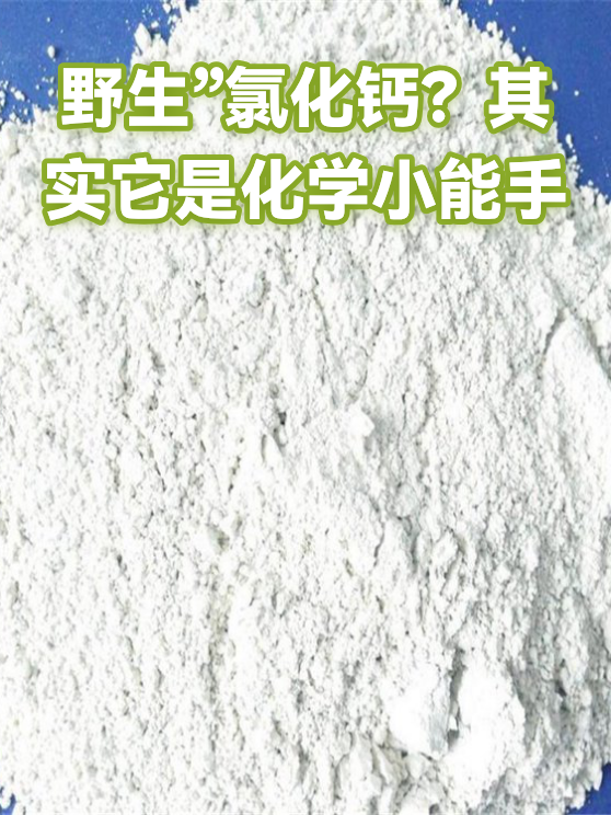野生”氯化钙？其实它是化学小能手（图1）