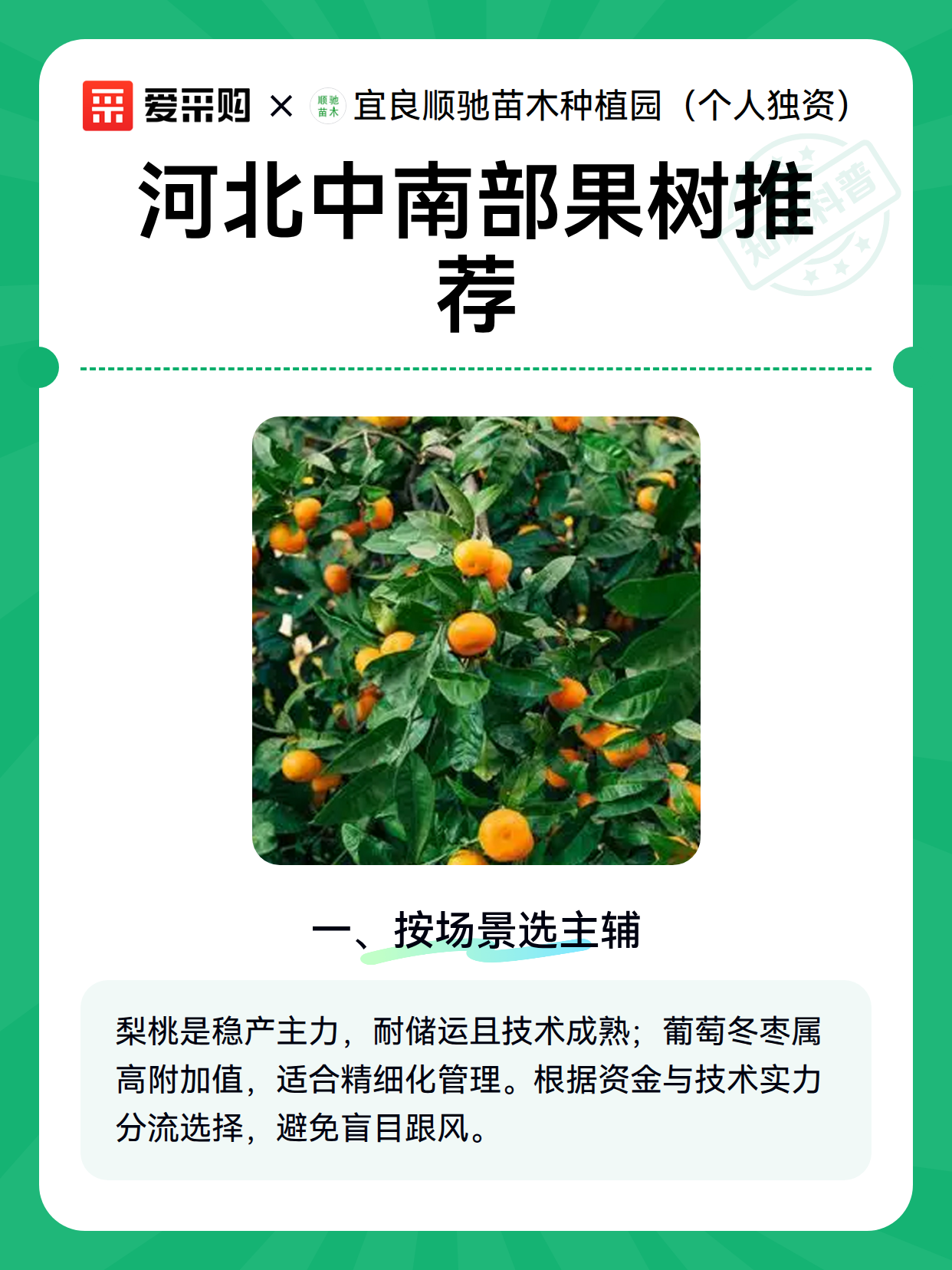 河北中南部果树推荐（图2）
