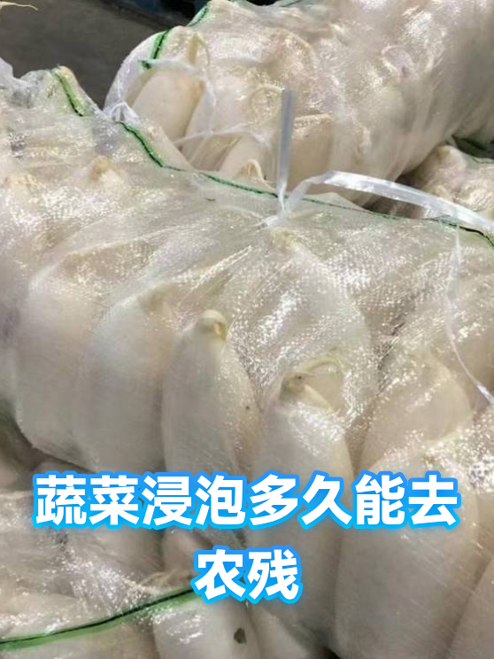 蔬菜浸泡多久能去农残（图1）