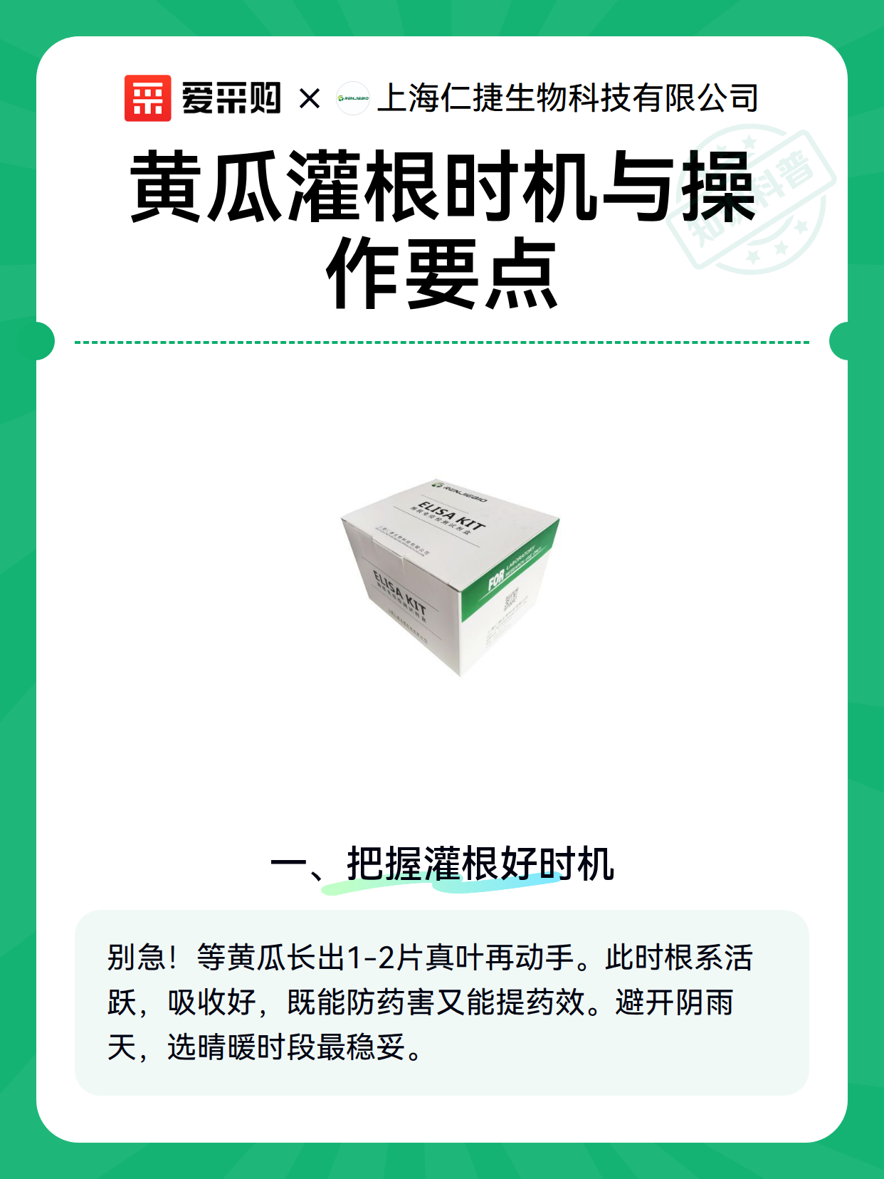 黄瓜灌根时机与操作要点（图1）