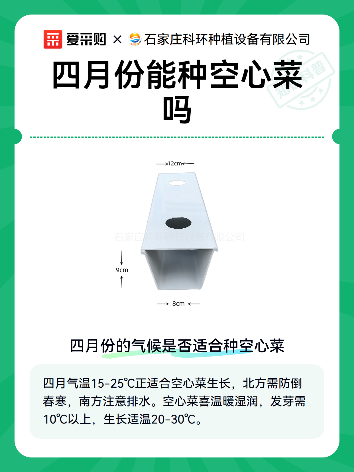 四月份能种空心菜吗（图2）