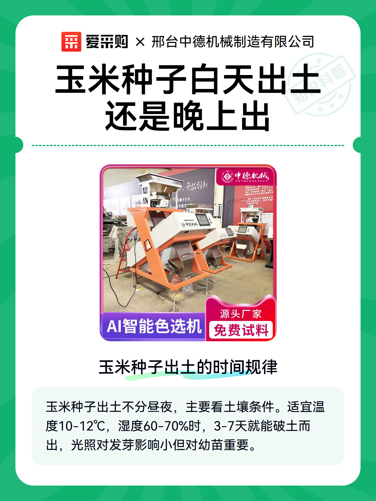 玉米种子白天出土还是晚上出（图2）
