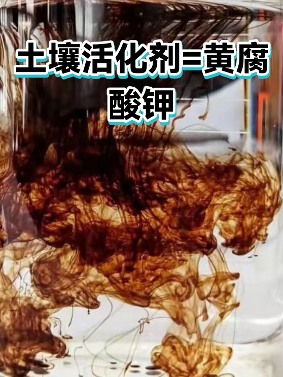 土壤活化剂=黄腐酸钾（图1）