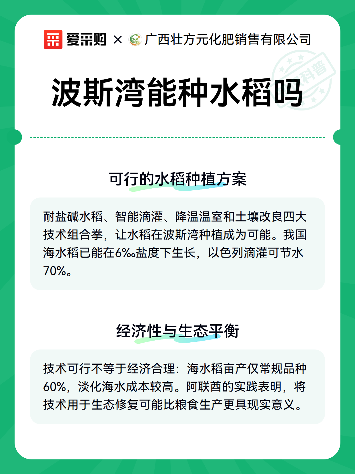 波斯湾能种水稻吗（图3）