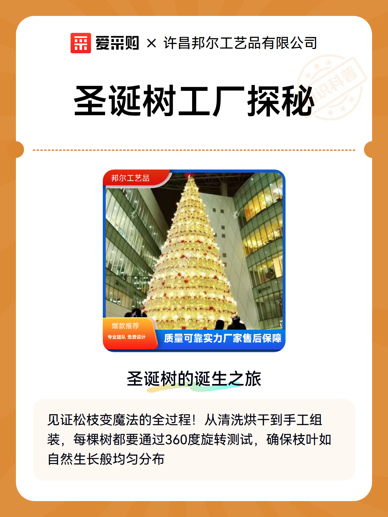 圣诞树工厂探秘（图2）