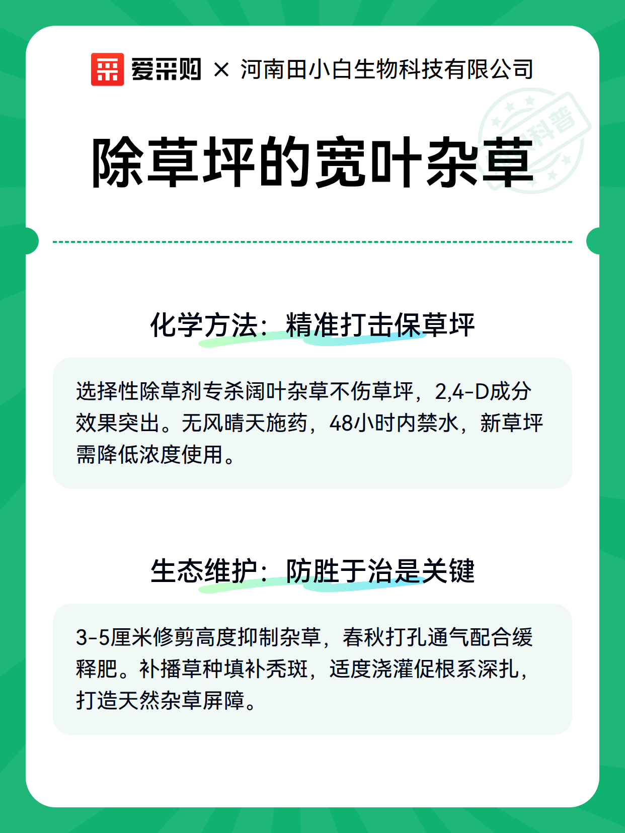 除草坪的宽叶杂草（图2）