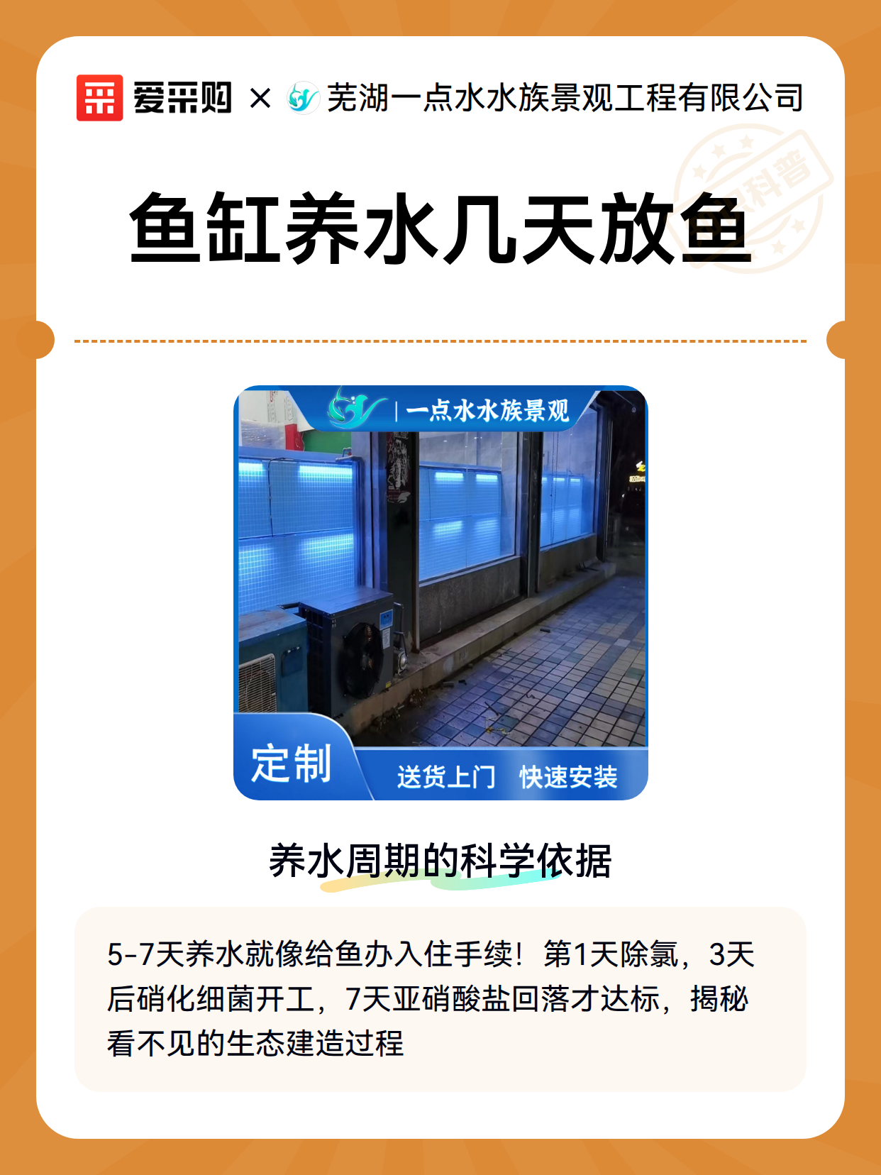 鱼缸养水几天放鱼（图1）