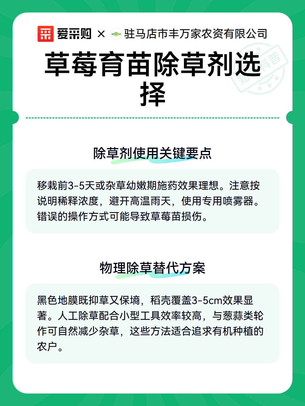 草莓育苗除草剂选择（图3）