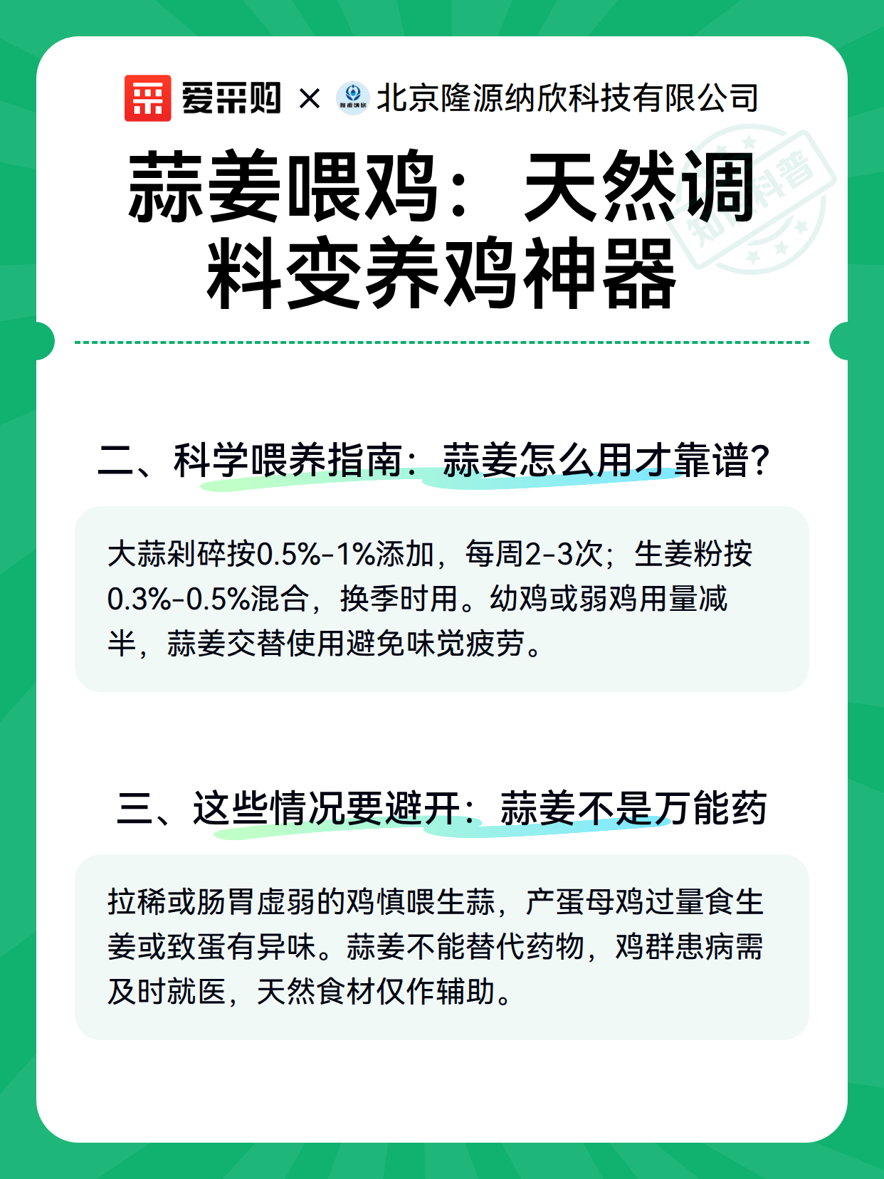 蒜姜喂鸡：天然调料变养鸡神器（图2）
