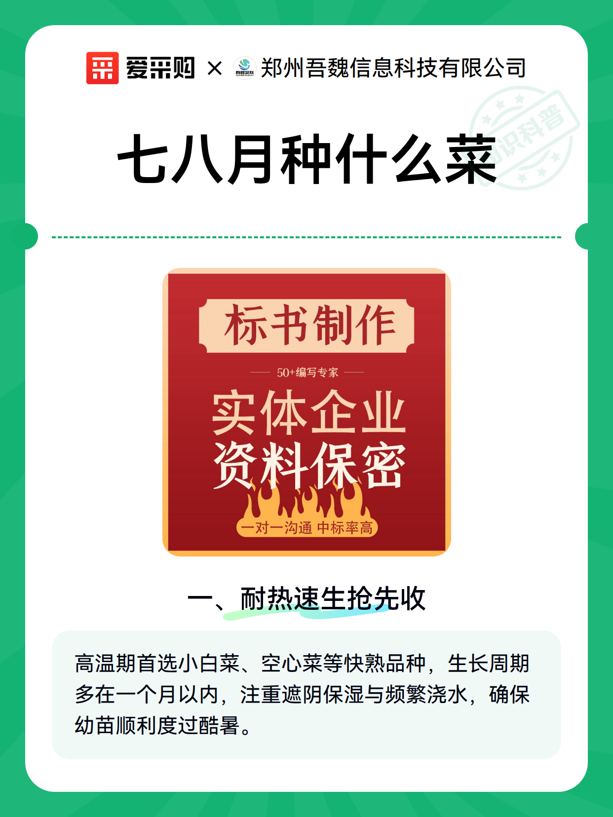 七八月种什么菜（图2）