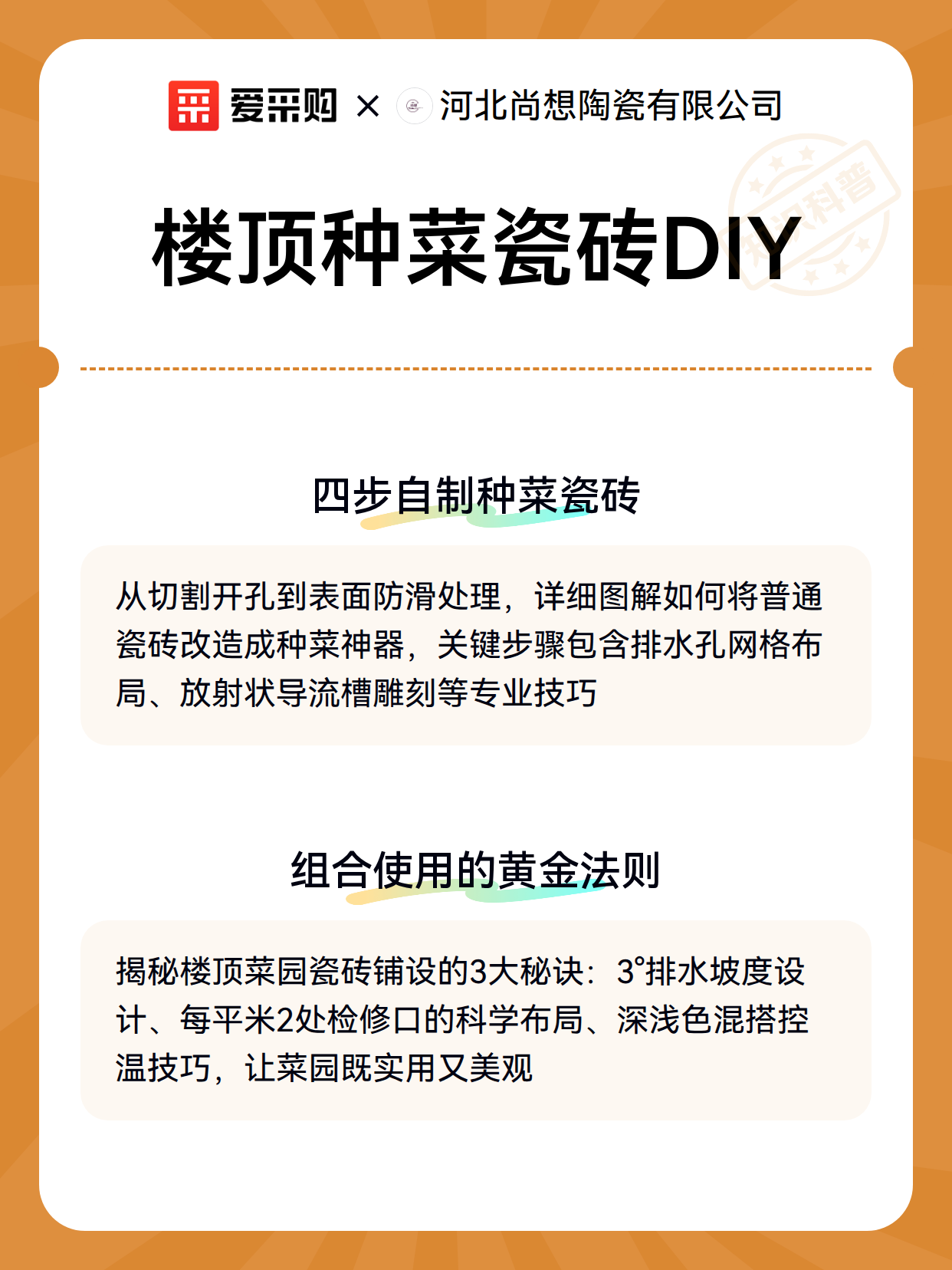 楼顶种菜瓷砖DIY（图3）