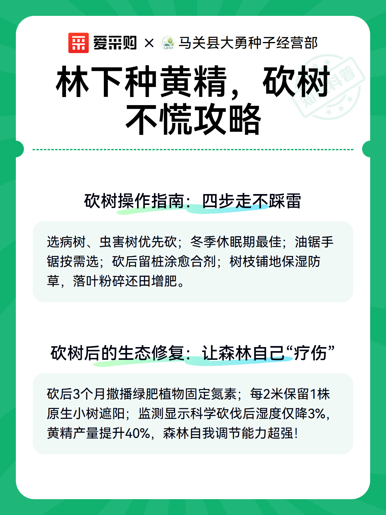 林下种黄精，砍树不慌攻略（图2）