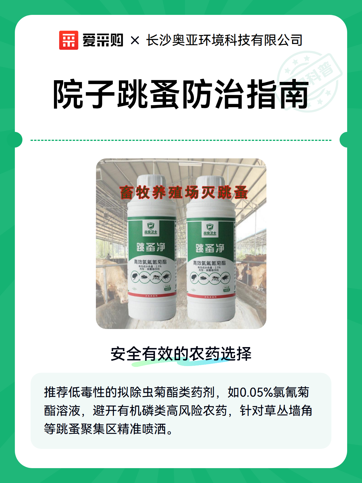 院子跳蚤防治指南（图1）