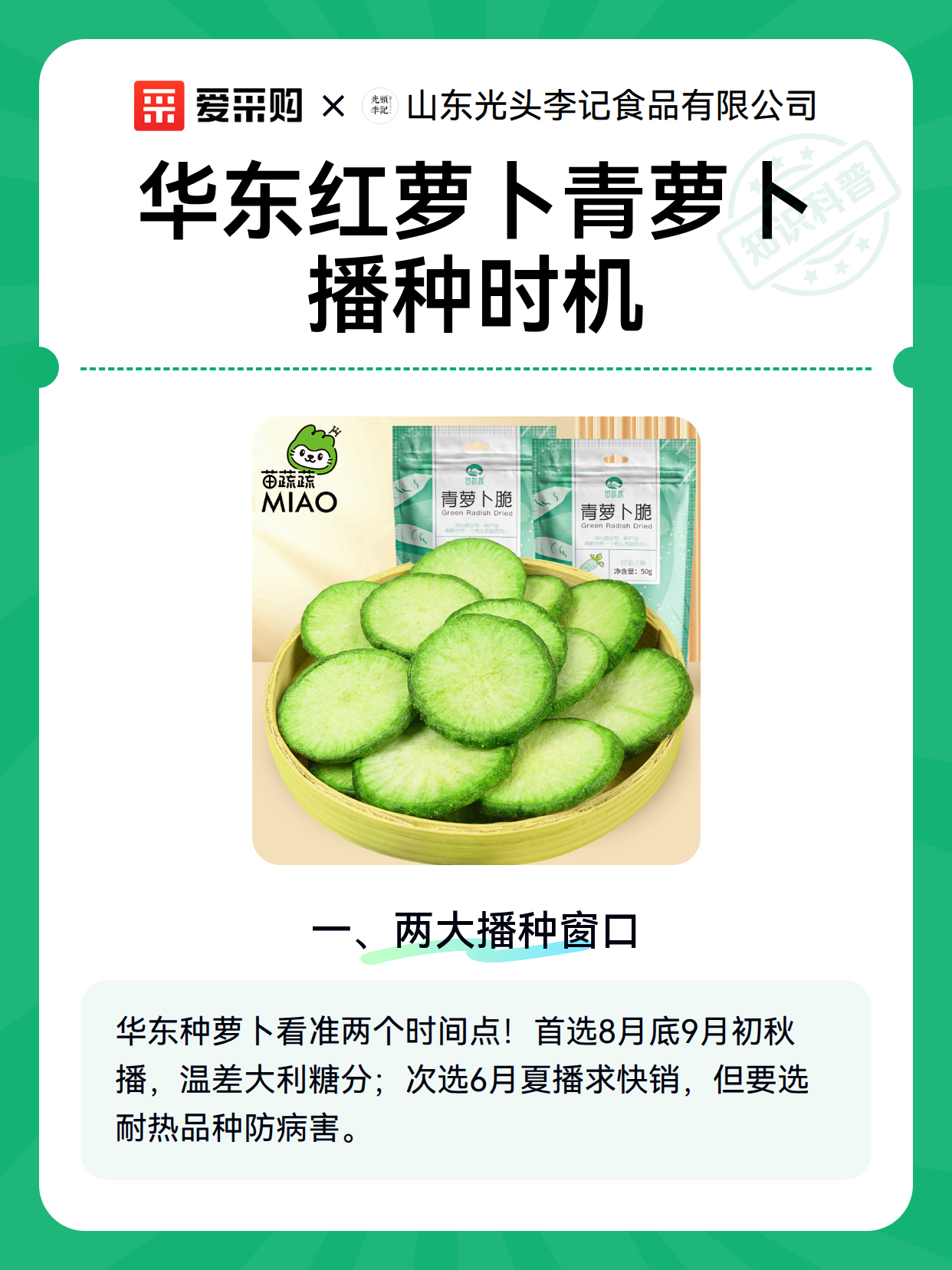 华东红萝卜青萝卜播种时机（图1）