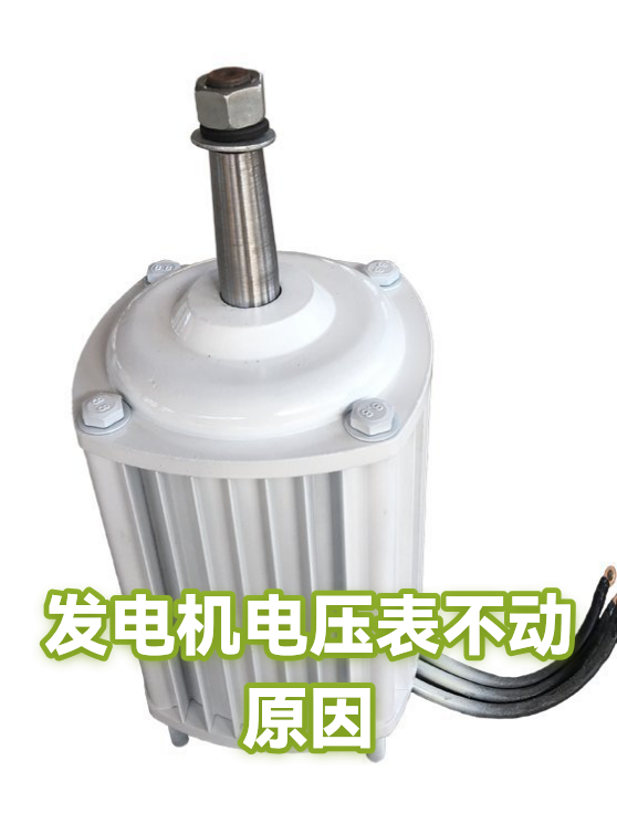 发电机电压表不动原因（图1）