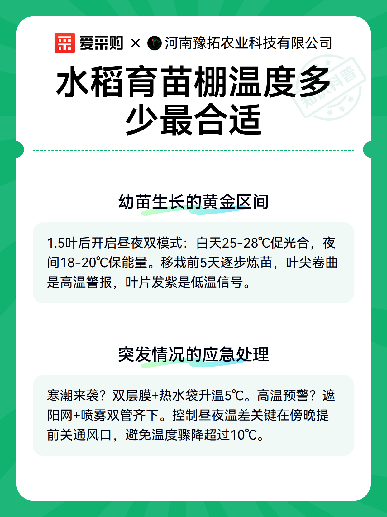 水稻育苗棚温度多少最合适（图3）