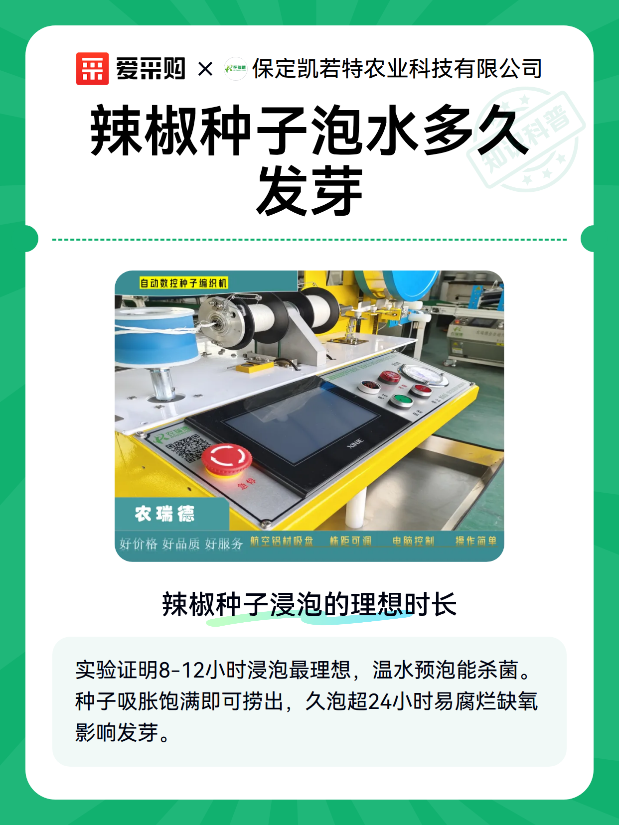 辣椒种子泡水多久发芽（图2）