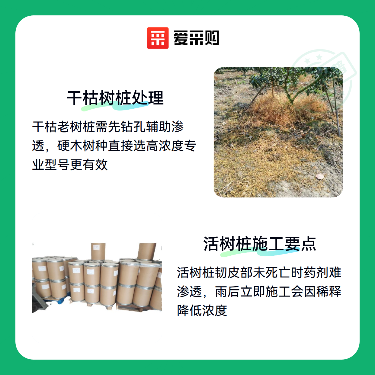 树桩清除剂用错反而更麻烦？这些情况要当心（图2）