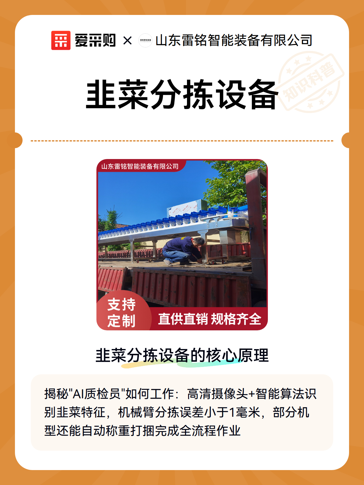 韭菜分拣设备（图2）