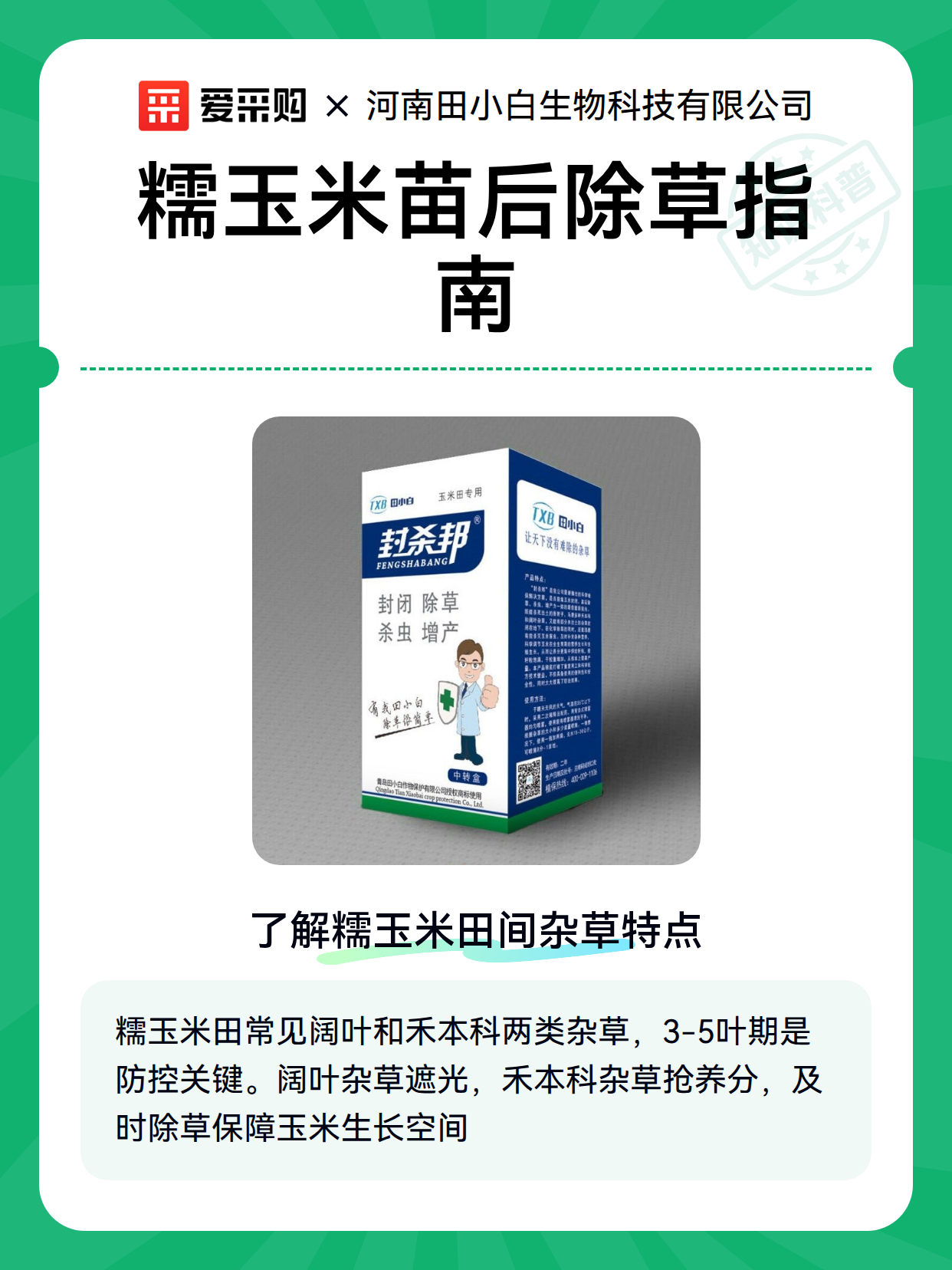 糯玉米苗后除草指南（图1）