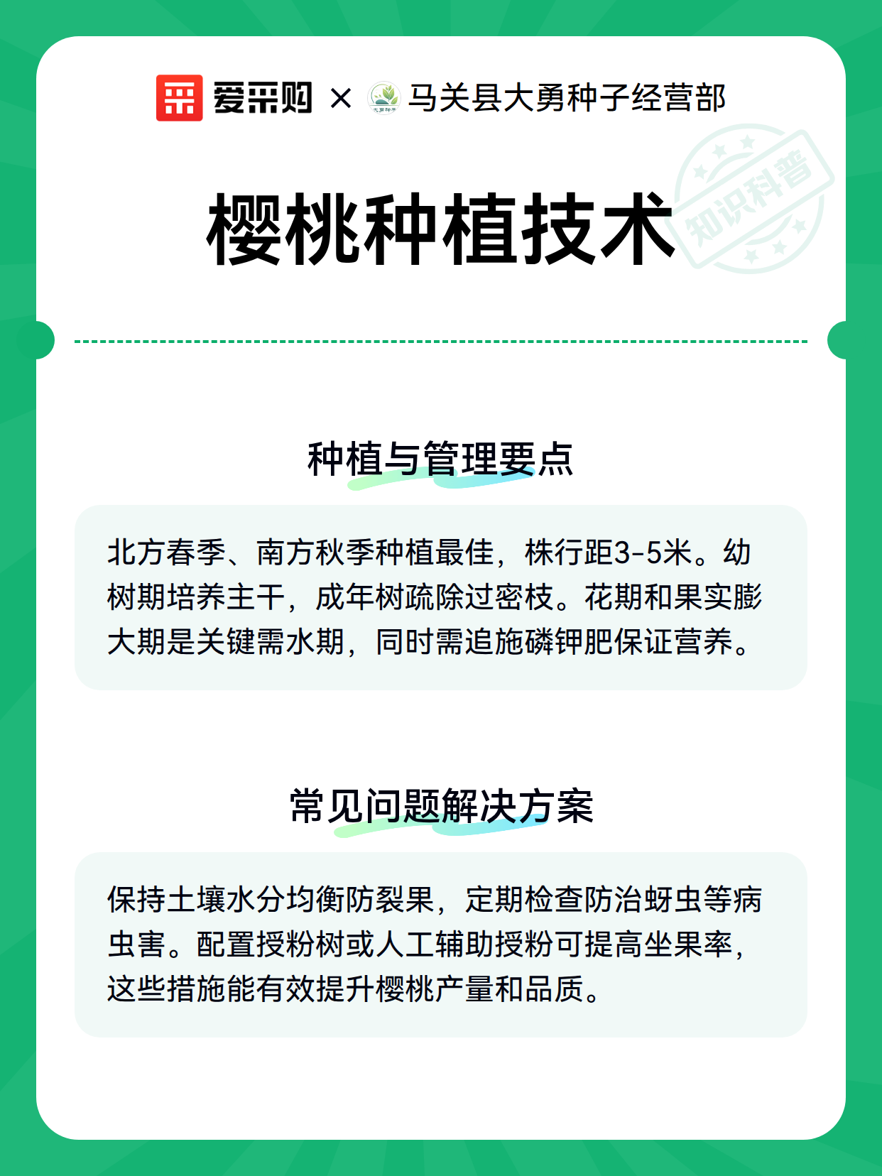 樱桃种植技术（图3）