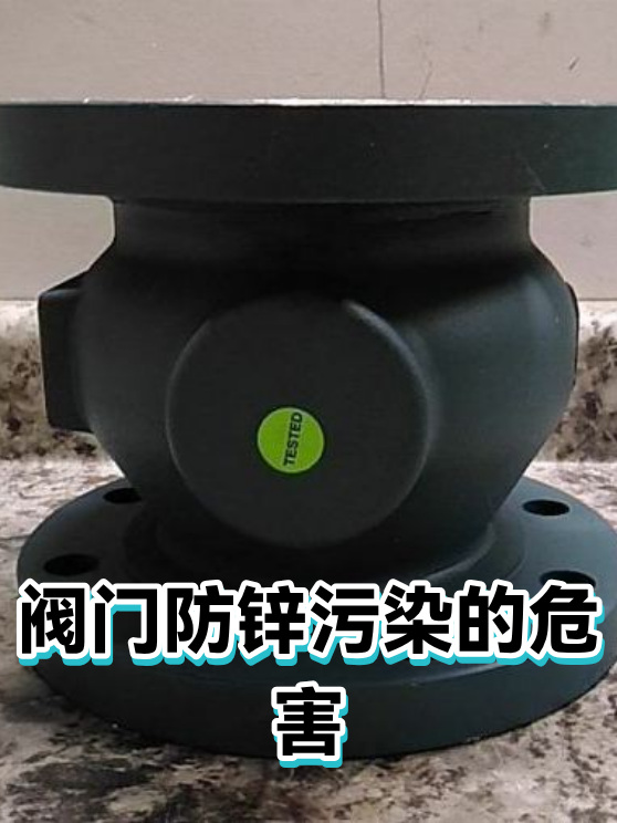 阀门防锌污染的危害（图1）