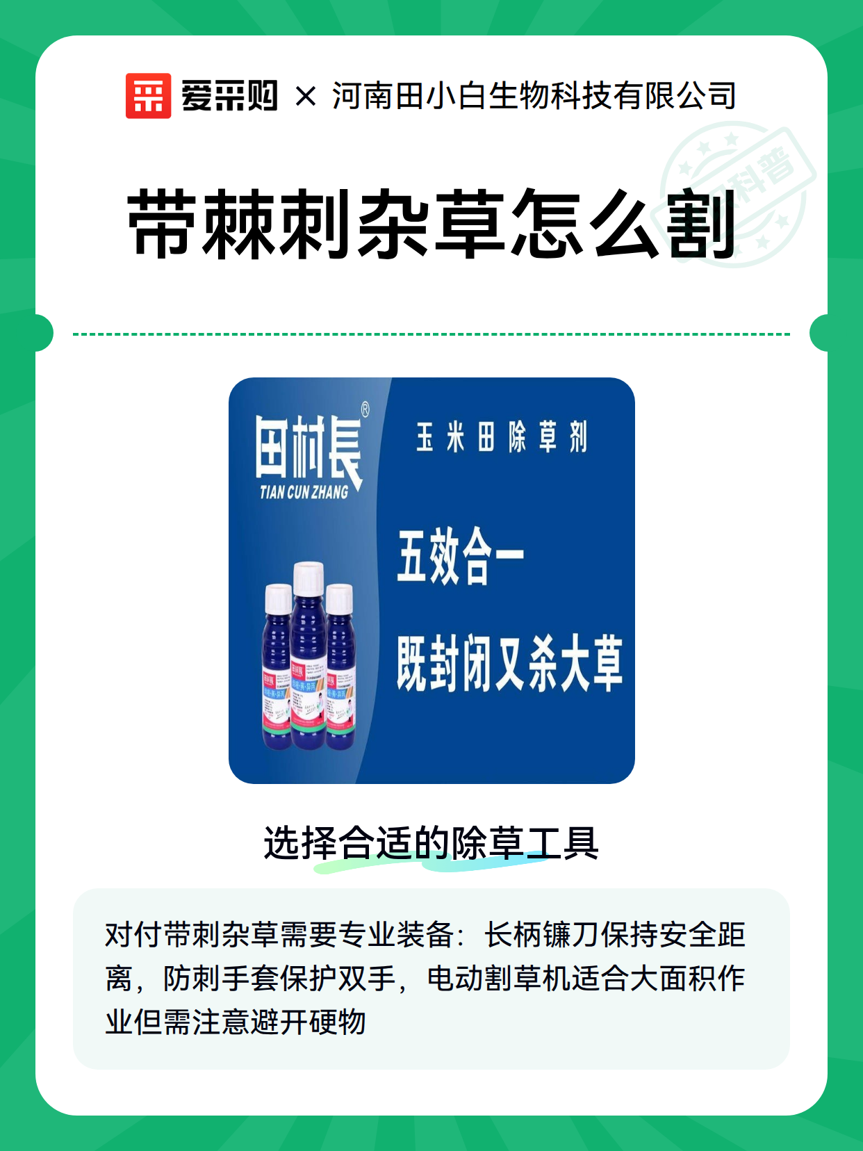 带棘刺杂草怎么割（图1）