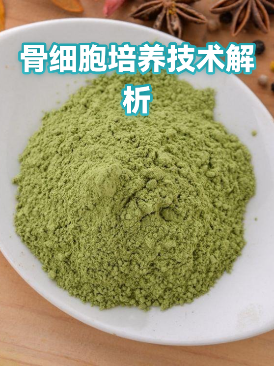 骨细胞培养技术解析（图1）