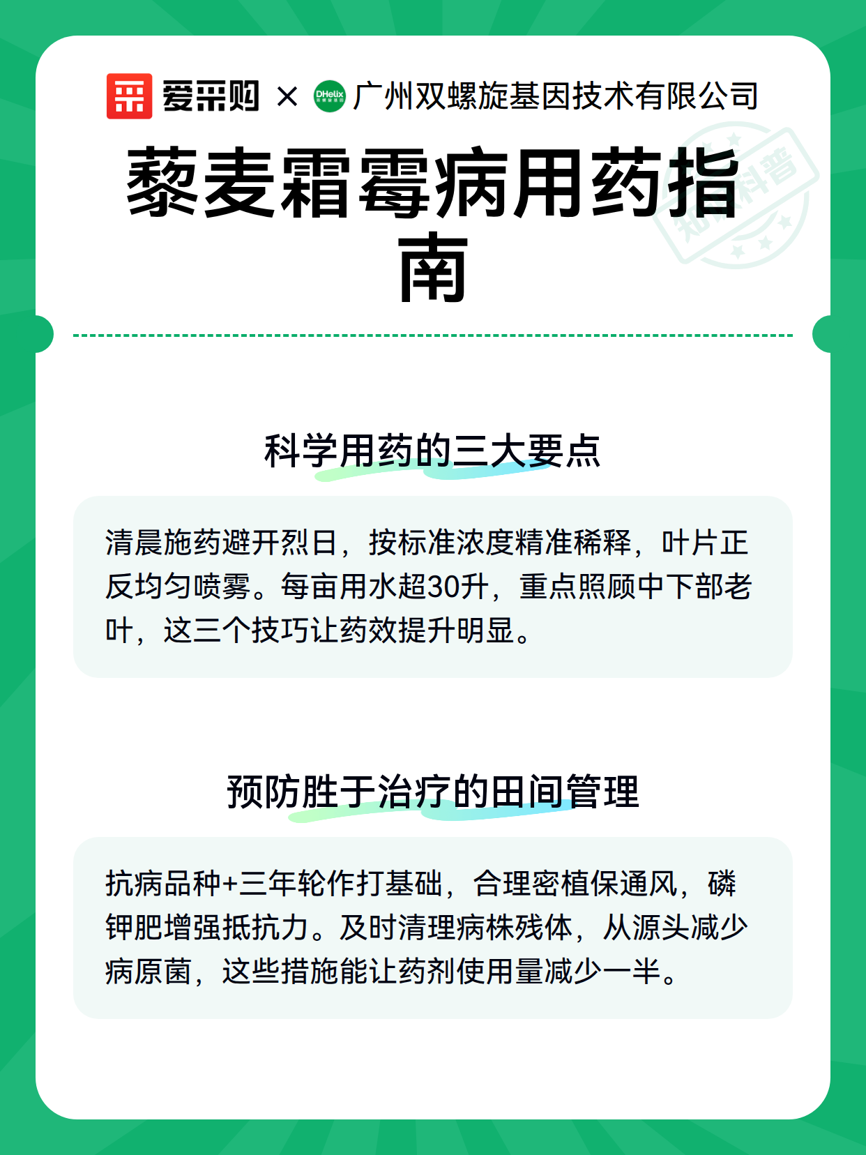 藜麦霜霉病用药指南（图2）