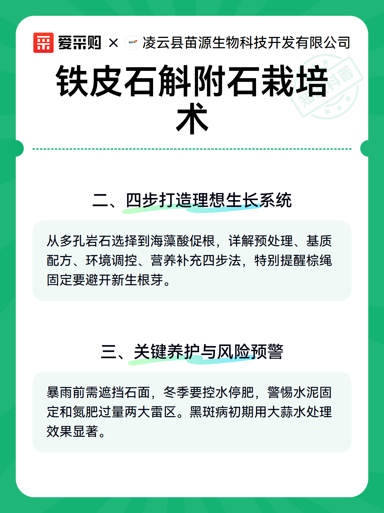 铁皮石斛附石栽培术（图3）