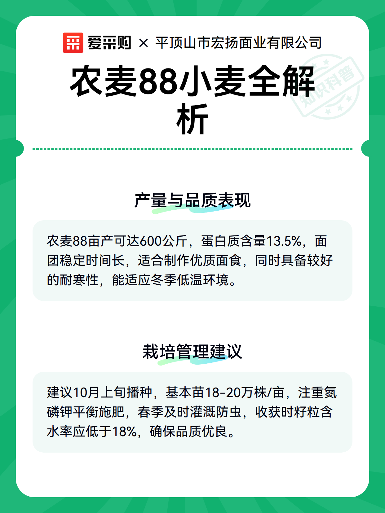 农麦88小麦全解析（图2）