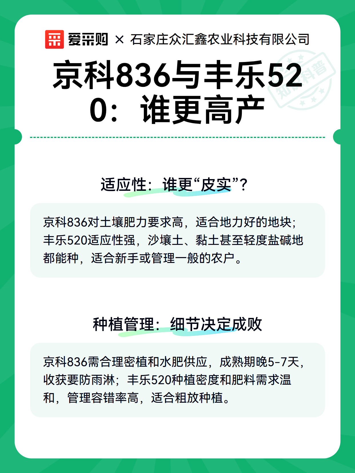京科836与丰乐520：谁更高产（图2）