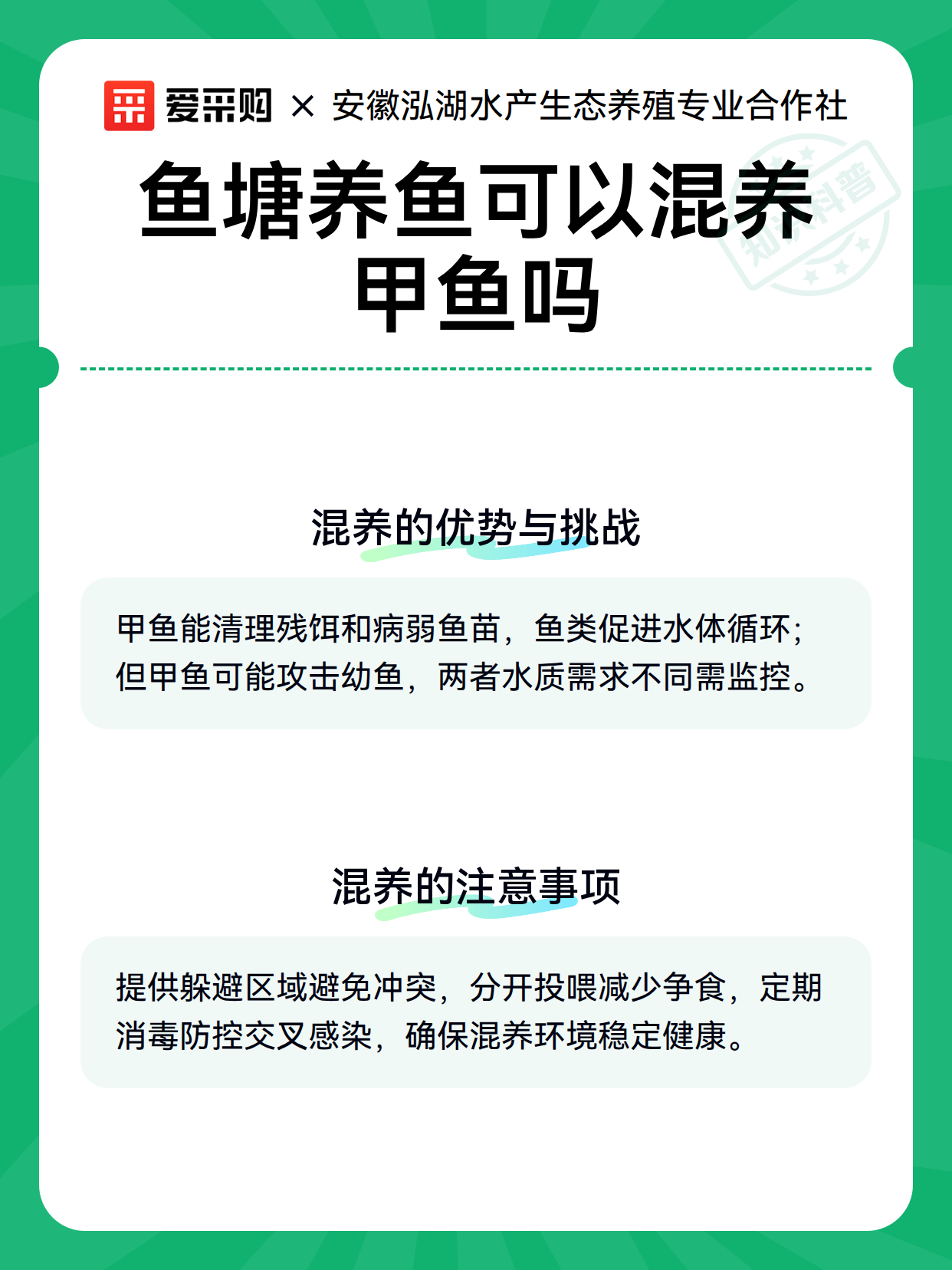 鱼塘养鱼可以混养甲鱼吗（图3）
