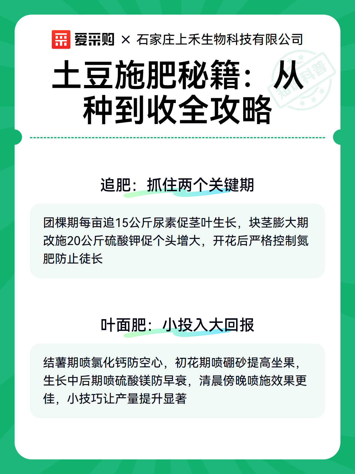 土豆施肥秘籍：从种到收全攻略（图2）