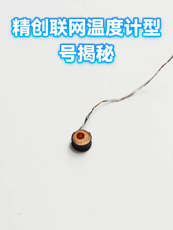 精创联网温度计型号揭秘（图1）