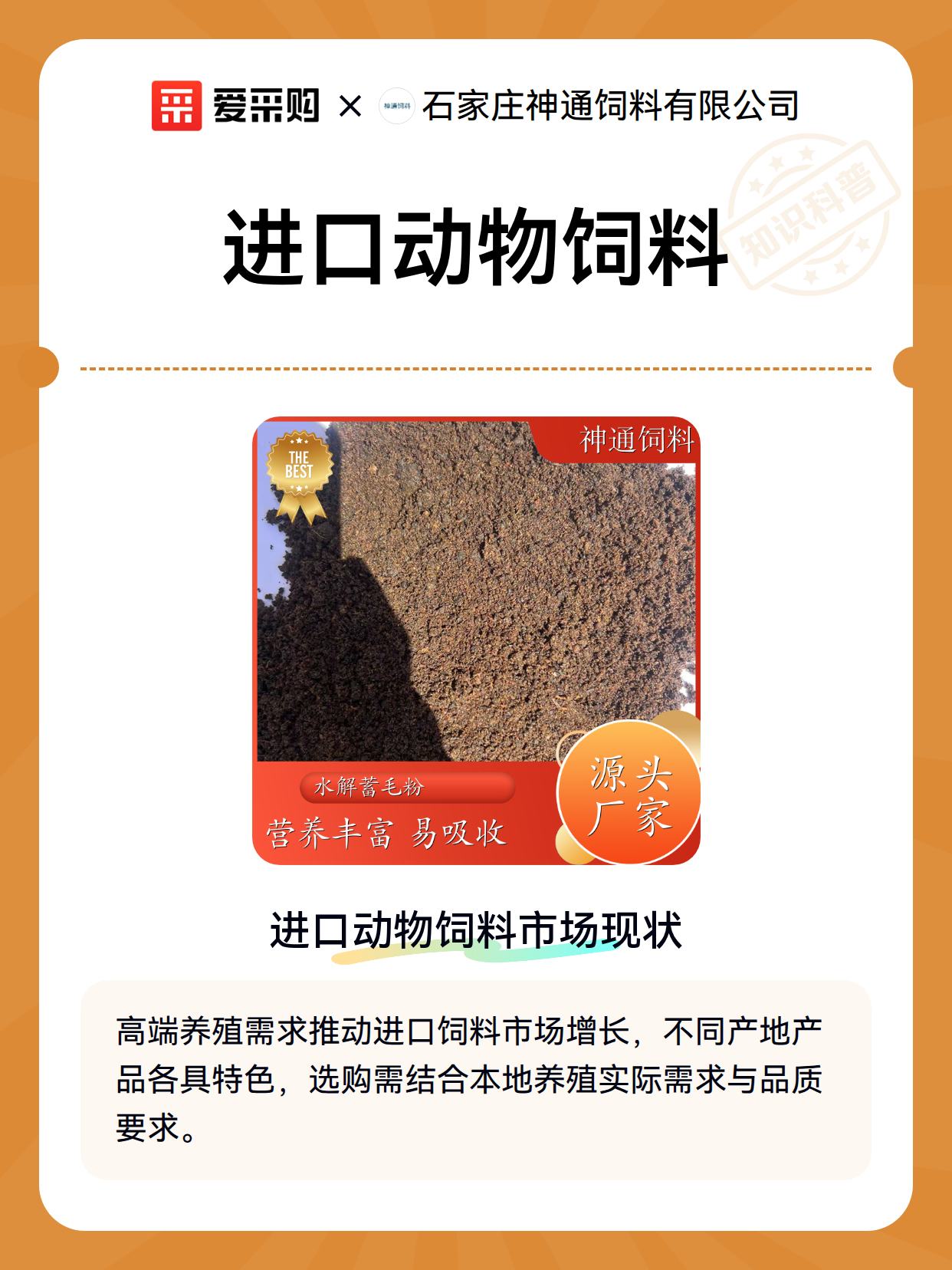 进口动物饲料（图2）