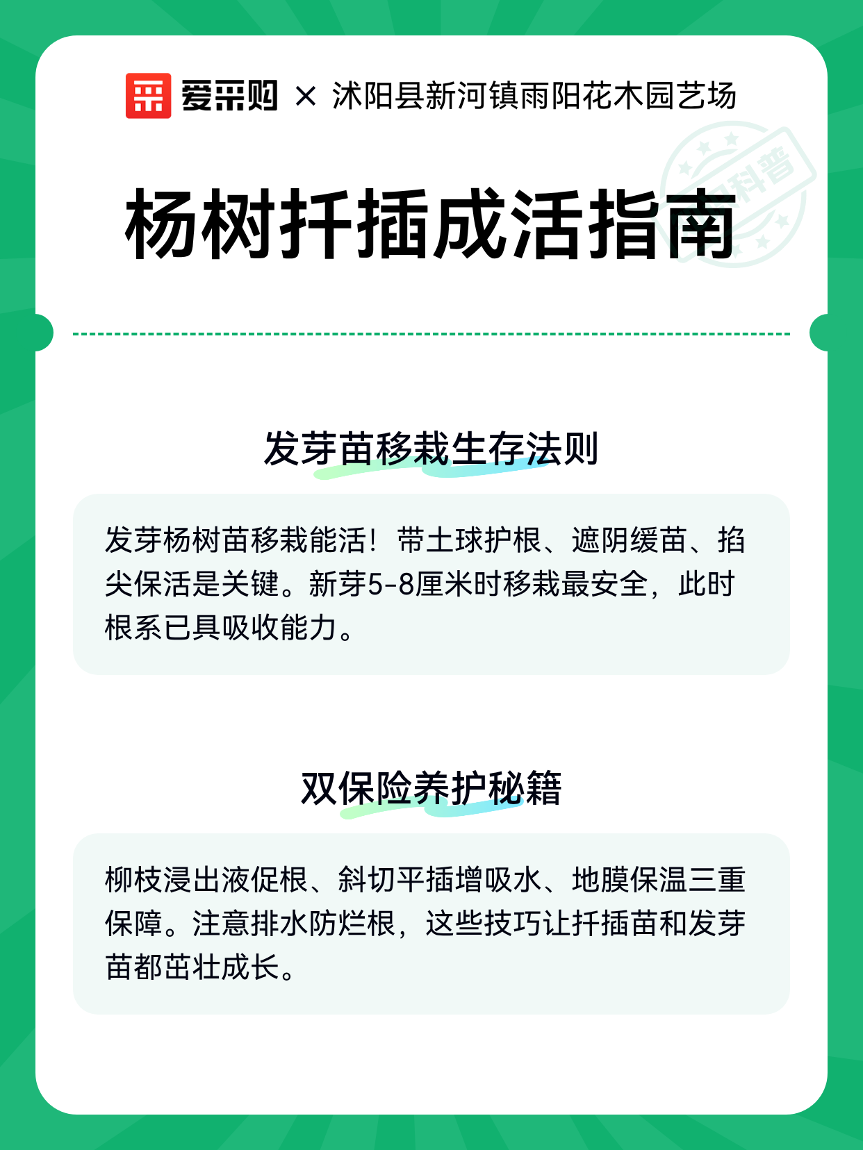 杨树扦插成活指南（图2）