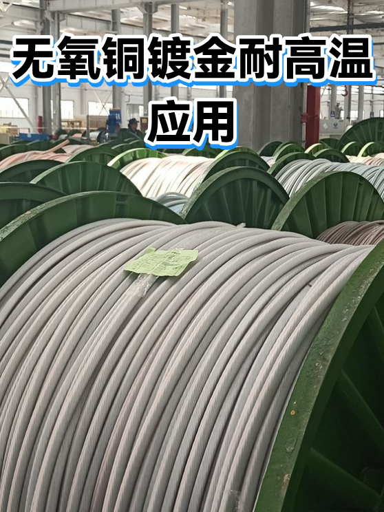 无氧铜镀金耐高温应用（图1）