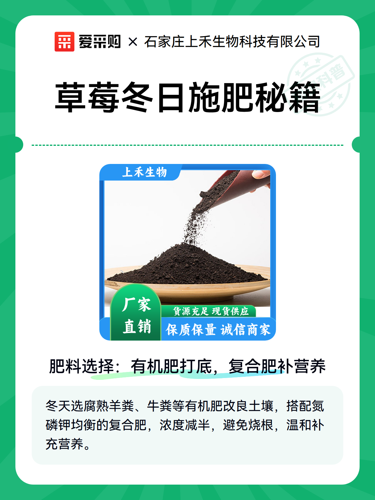草莓冬日施肥秘籍（图1）
