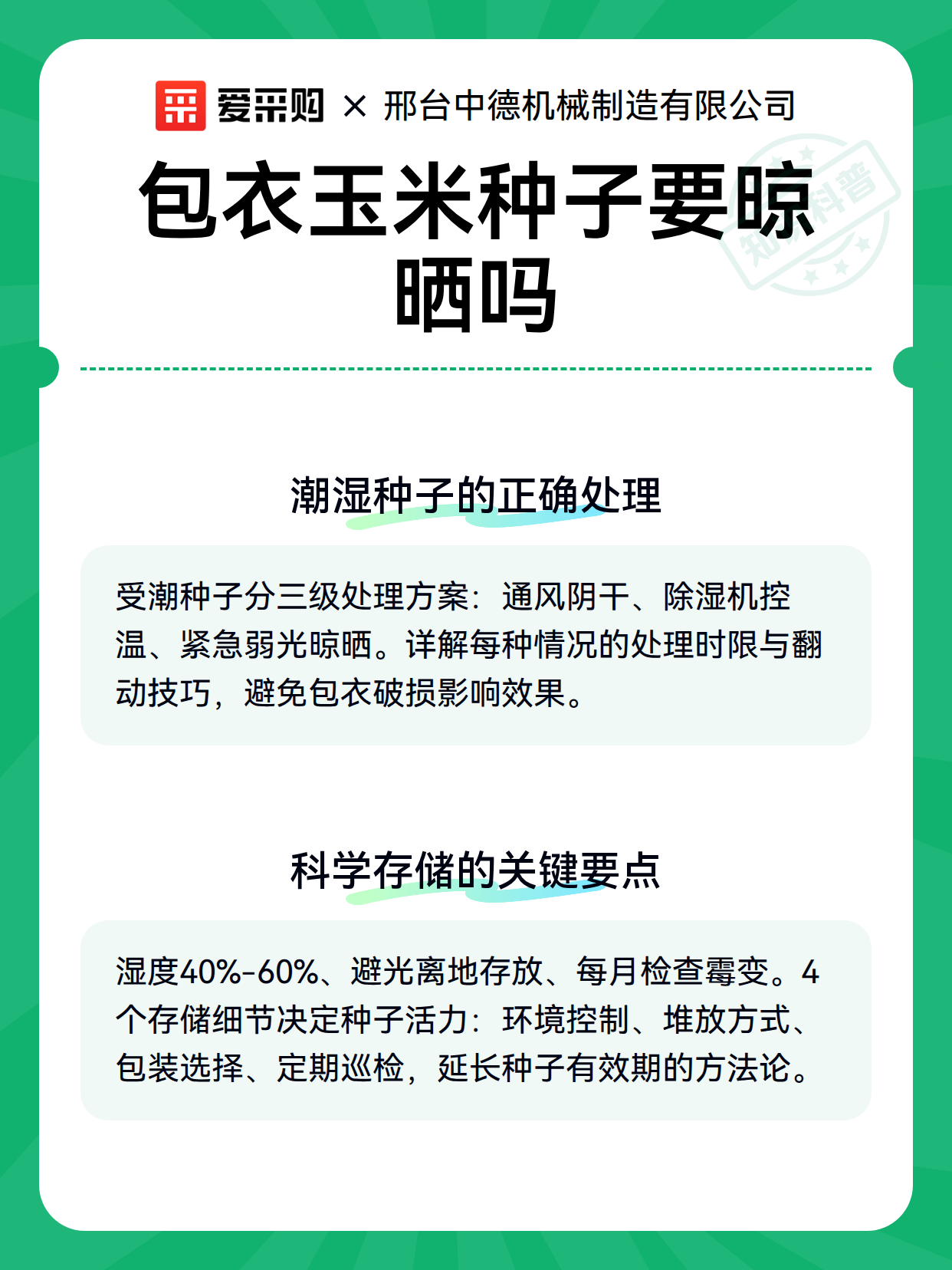 包衣玉米种子要晾晒吗（图3）