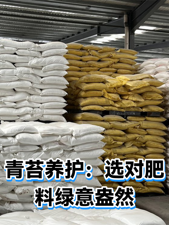 青苔养护：选对肥料绿意盎然（图1）