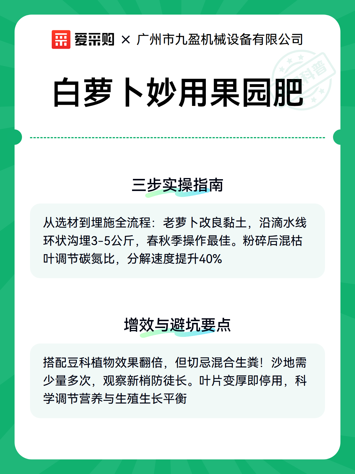 白萝卜妙用果园肥（图3）