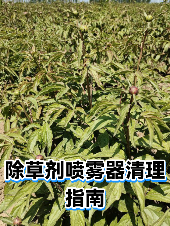 除草剂喷雾器清理指南（图1）