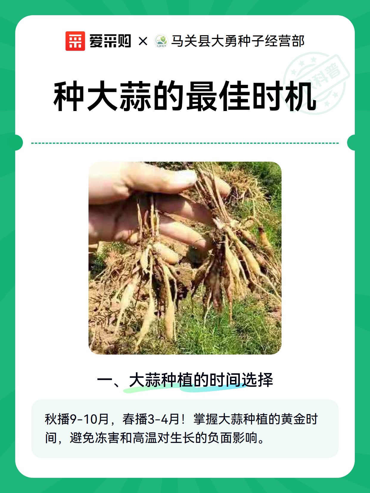 种大蒜的最佳时机（图1）