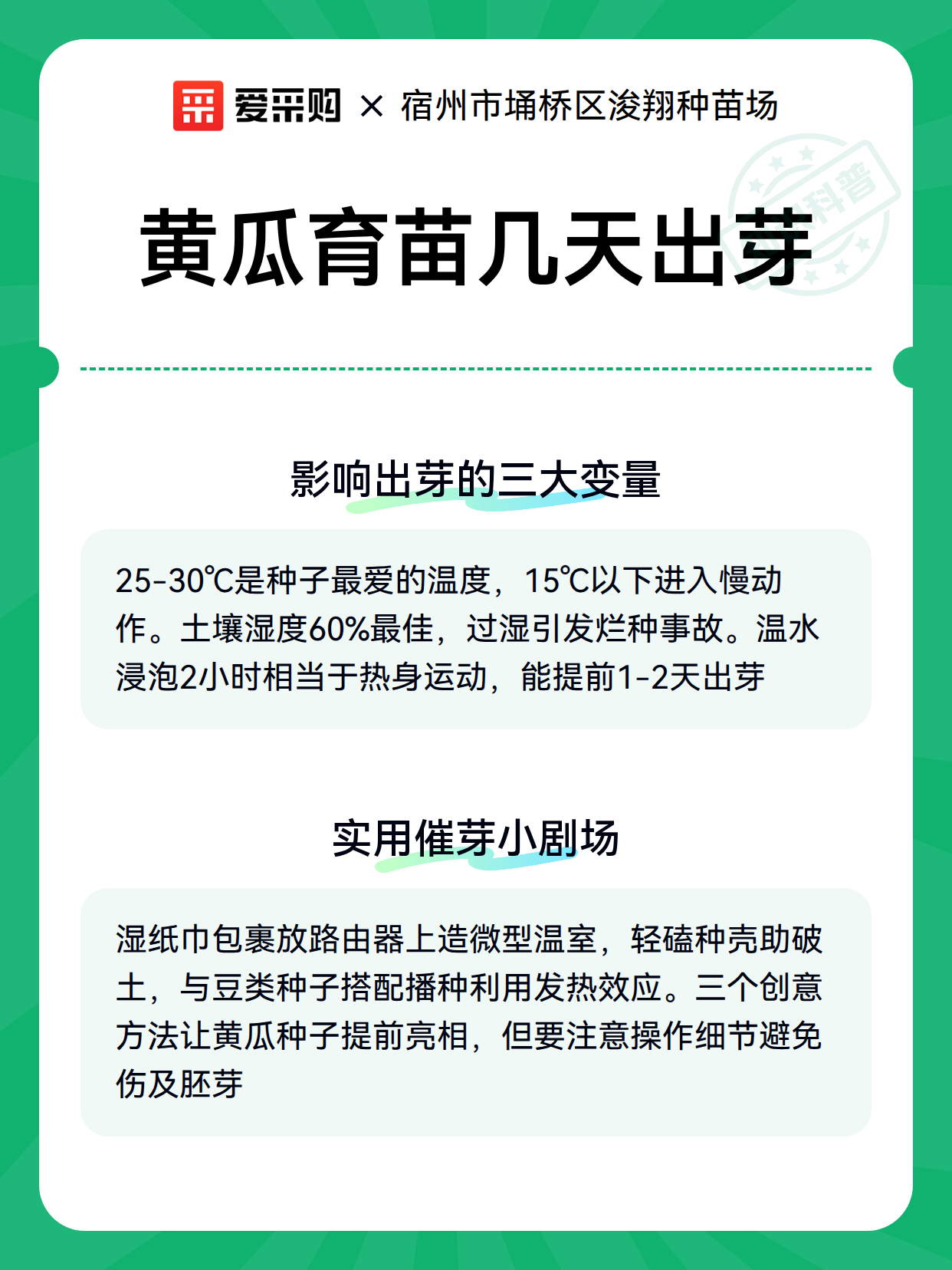 黄瓜育苗几天出芽（图3）