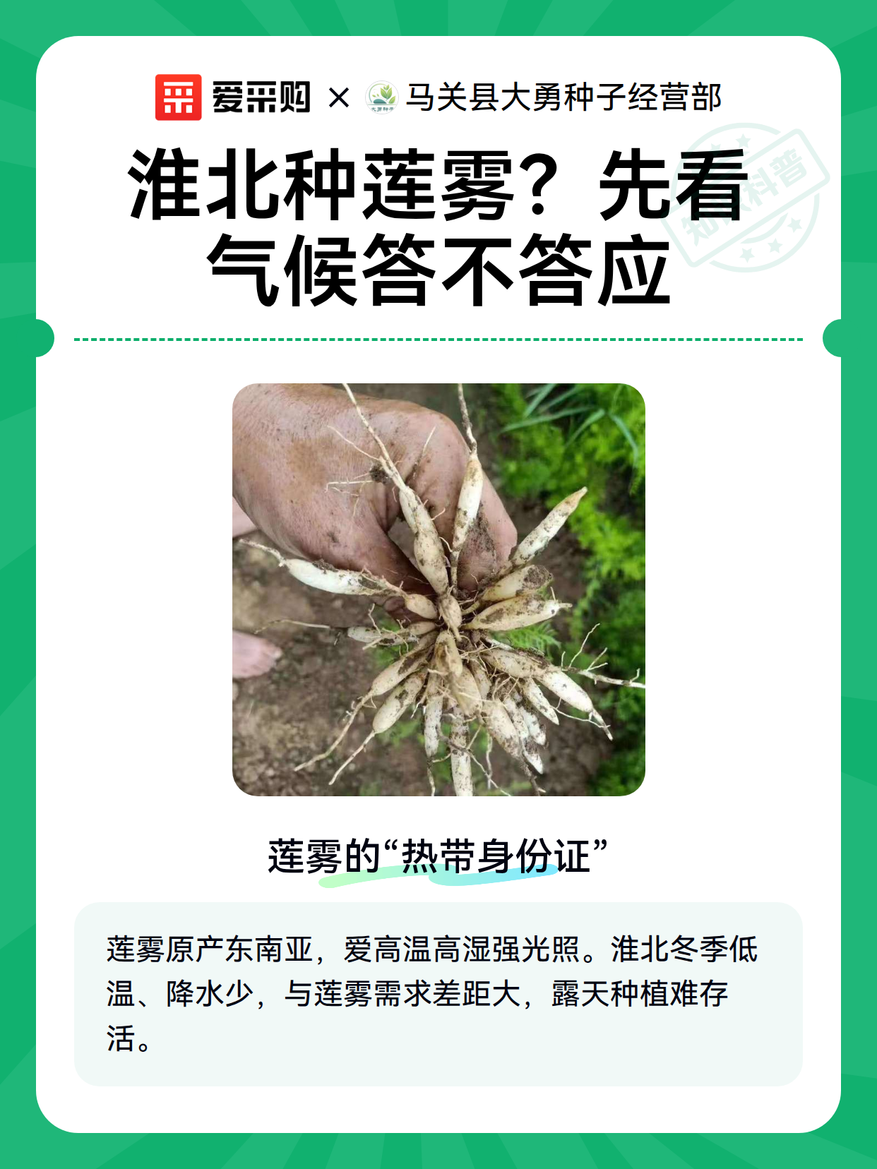 淮北种莲雾？先看气候答不答应（图1）